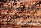 pumice
