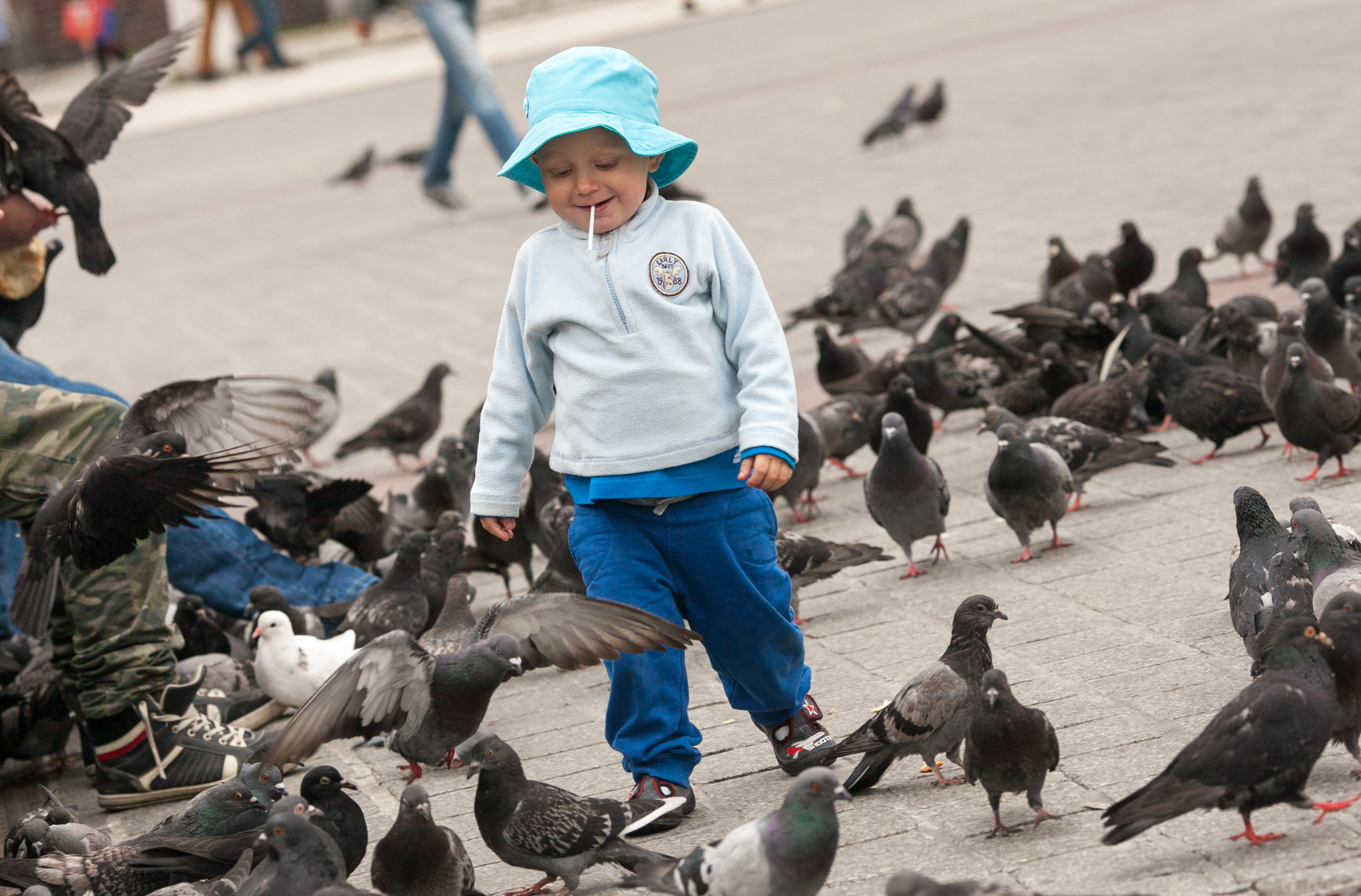 Among the pigeons at Krakow Main Square