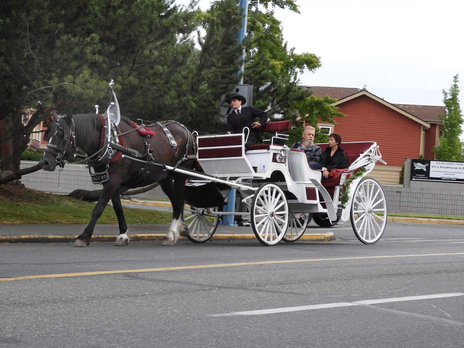 Horse-drawn carriage in Victoria