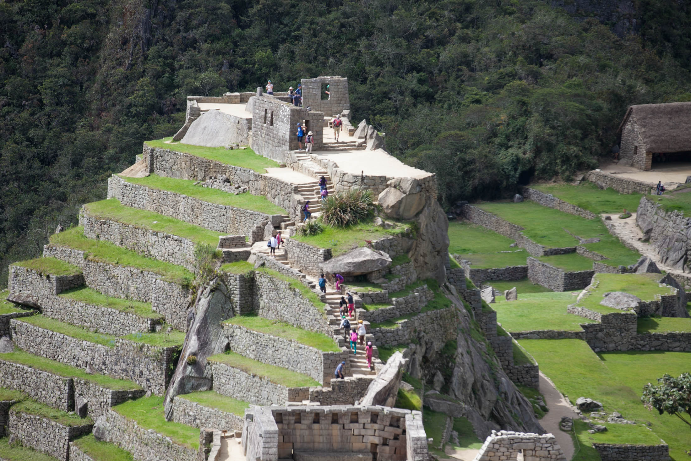 Machu Picchu closeup