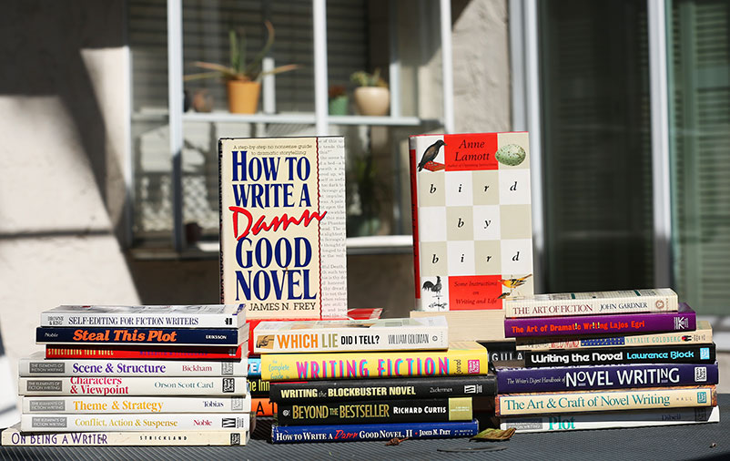 Some of the writing books in my bookshelf.